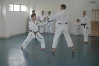 Dimostrazione Karate
