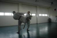 Dimostrazione di Karate